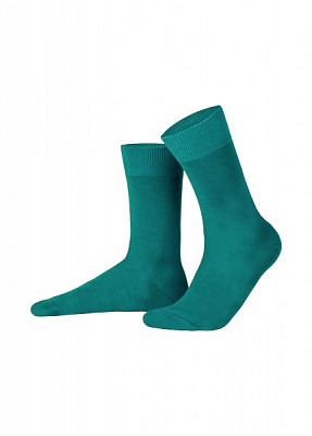 Шкарпетки чоловічі Feeelings р. 41-43 зелений м’ятний 1 пар 700 41-43 601