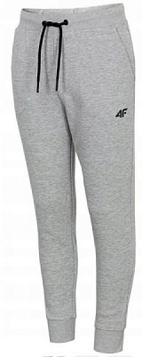 Штани 4F HJZ20-JSPMD001-27M р. 158 сірий