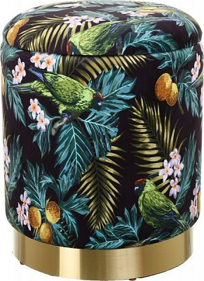 Скриня-пуф Francois Parrot 31,5х31,5х38 см чорний із принтом