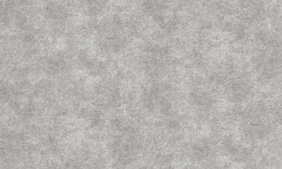 Обои виниловые на флизелиновой основе DINASTIA 884DN14 1,06x10,05 м