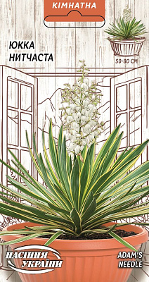 Насіння Юкка Нитчаста