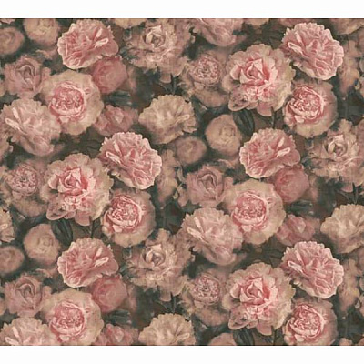 Шпалери A.S. Creation N Budde 2 37557-2