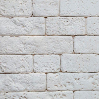 Плитка гипсовая прямая Живой камень Капри 20 0,47 кв.м 