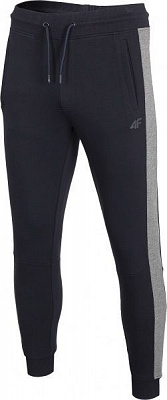 Штани 4F D4Z20-SPMD306-30S р. 2XL синій