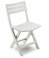 Стілець пластиковий ProGarden BIRKI розкладний 78x41x46 см білий BIR080CBI