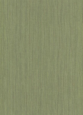 Шпалери вінілові на флізеліновій основі Erismann Paradisio 6309-36 0,53x10,05 м