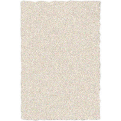 Ковер Аквила Shaggy Lama 1039-1-33028 2x3 м