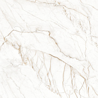 Плитка Allore Group Stonic Gold F P R Mat 60х60 см