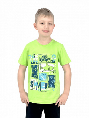Футболка для мальчиков Roksana р.104 салатовый №001/12032 
