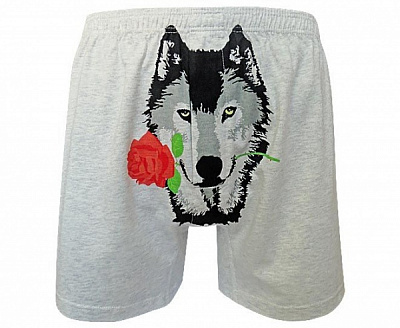 Труси чоловічі Sealine 010-1473 XXL сірий меланж