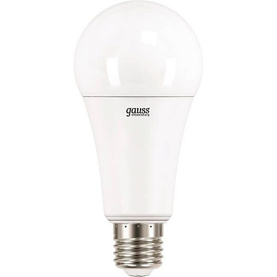 Лампа світлодіодна Gauss Elementary 25 Вт A67 матова E27 220 В 6500 К 73235