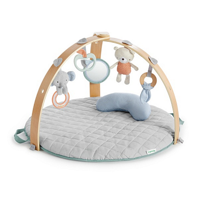 Розвиваючий килимок Ingenuity Cozy Spot 12126