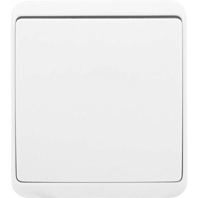 Выключатель одноклавишный HausMark Domo без подсветки 10 А 220-250В белый HSN-SWP.H3C20G1W1-WH