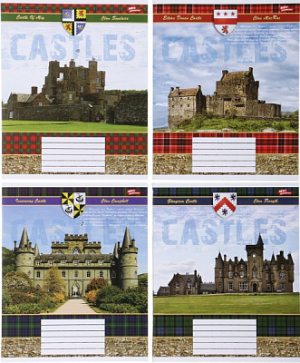 Комплект тетрадей 60 листов в клетку 12 шт. Мечты сбываются