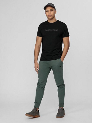 Брюки 4F D4L21-SPMD306-046S р. M сине-зеленый