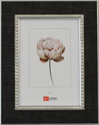 Рамка для фото Арт-Сервіс ЕА-01811 1 фото 21х30 см чорний із срібним