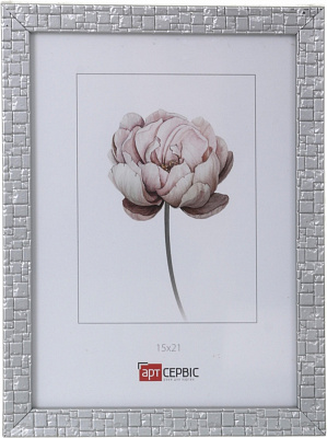 Рамка для фото Арт-Сервіс ЕА-01902 1 фото 15x21 см сріблястий