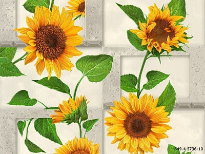 Обои из вспененного винила Славянские обои Expromt Подсолнечник 5736-10 0,53x10,05 м 
