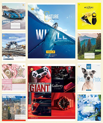 Зошит шкільний Зошит шкільний 48 арк. клітинка в асортименті