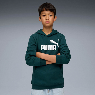 Джемпер Puma ESS No. 1 Logo Hoodie FL B 68490875 зеленый