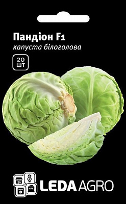 Насіння LedaAgro капуста білоголова Пандіон F1 20 шт. (4820119790212)