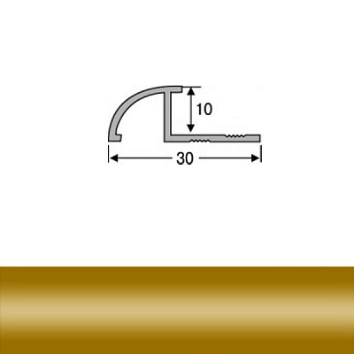 Порожек алюминиевый ОАП анодированный TIS 2700 мм золото