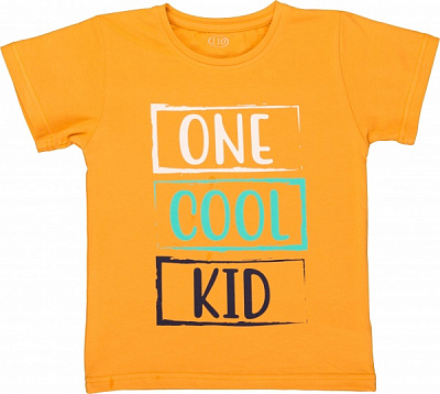 Футболка унисекс Фламинго 864-417 р.98 оранжевый 