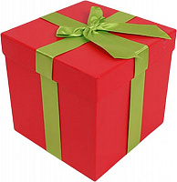 Коробка подарункова Престиж 6002-3 22X22X21 см