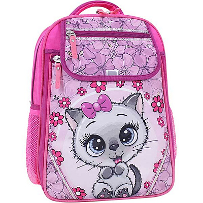 Рюкзак школьный Bagland Отличник 20л 684 (0058070)