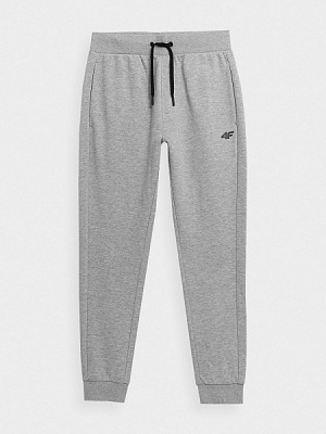 Штани 4F TROUSERS CAS M223 4FSS23TTROM223-27M р. S сірий