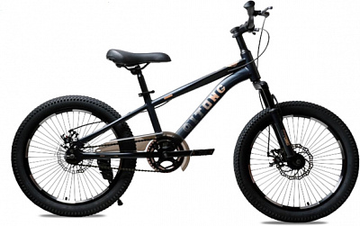 Велосипед детский MaxxPro kids 20