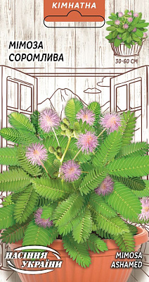 Насіння Мімоза Соромлива