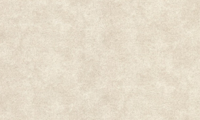 Обои виниловые на флизелиновой основе DINASTIA 884DN11 1,06x10,05 м