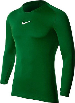 Футболка Nike DF PARK 1STLYR JSY LS AV2609-302 р.2XL зеленый