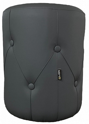 Пуф Lion 450х350 мм черный(Вега)