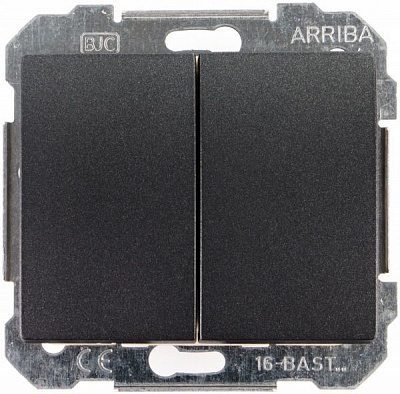 Выключатель двухклавишный Siemens Iris без подсветки 16 А 250В IP20 сталь нептун 18509 AN