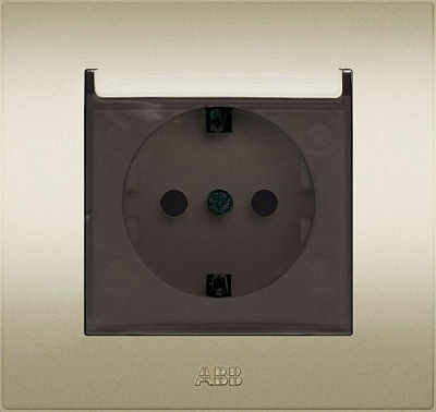 Розетка с заземлением ABB Cosmo без шторок с крышкой титан 619-011400-218