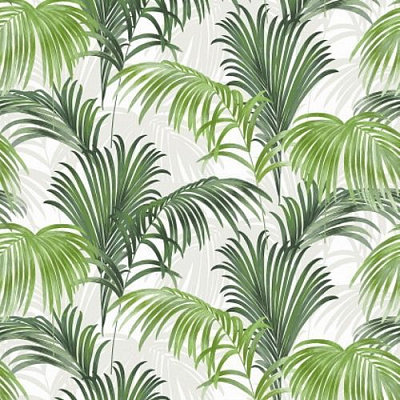 Шпалери DID Evolution RJC5011-3