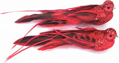 Декорация новогодняя Xinchang Trust-Worthy Import & Export Co Птичка 25 см красная 2 шт. 6 см T21-43