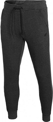 Брюки 4F NOSD4-SPMD301-23M р. 3XL серый