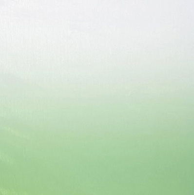 Тканина ТК-Домашній текстиль ТОВ мікровуаль деграде, хвоя 280 см