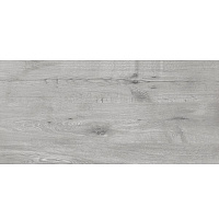 Плитка Golden Tile Alpina Wood светло-серый 89G940 30,7x60,7 