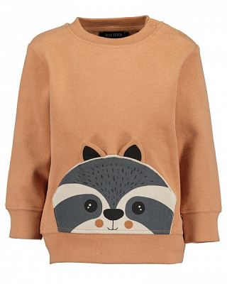 Реглан для мальчика Blue Seven трикотажный Приключения р.86 медный 984102 X* 