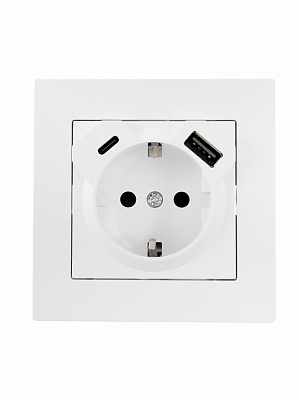 Розетка побутова + USB + Type C із заземленням Lezard Vesna білий 742-0288-181TC