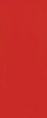 Плитка Атем MONO R 25x60