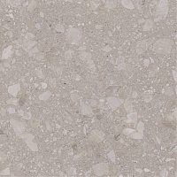 Плитка Allore Group Terra Beige F P R Mat 60x60 см