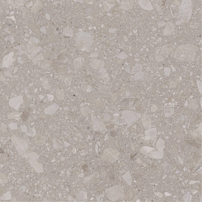 Плитка Allore Group Terra Beige F P R Mat 60x60 см