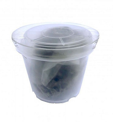 Кашпо декоративне для пересадки орхидеи с орхидейным субстратом и поддоном D150 круглий прозорий