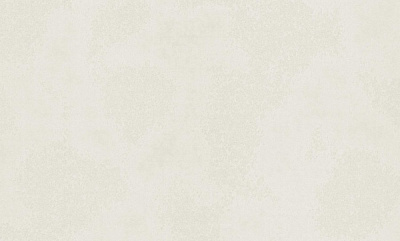 Шпалери вінілові на флізеліновій основі Bravo 81187BR27 1,06x10,05 м