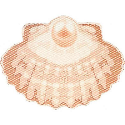 Коврик для ванной Woko Ракушка 65x47 см коричневый